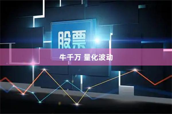 牛千万 量化波动